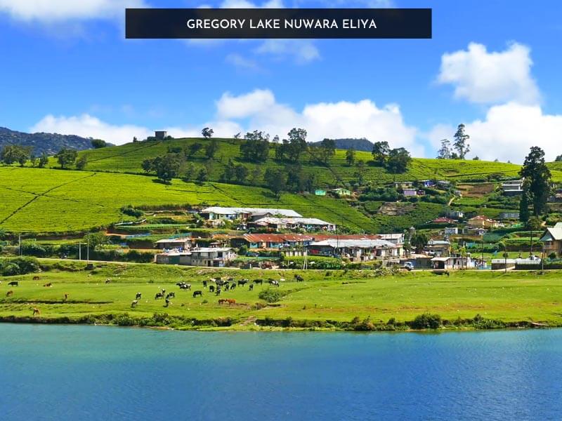 Gregory Lake Nuwara Eliya