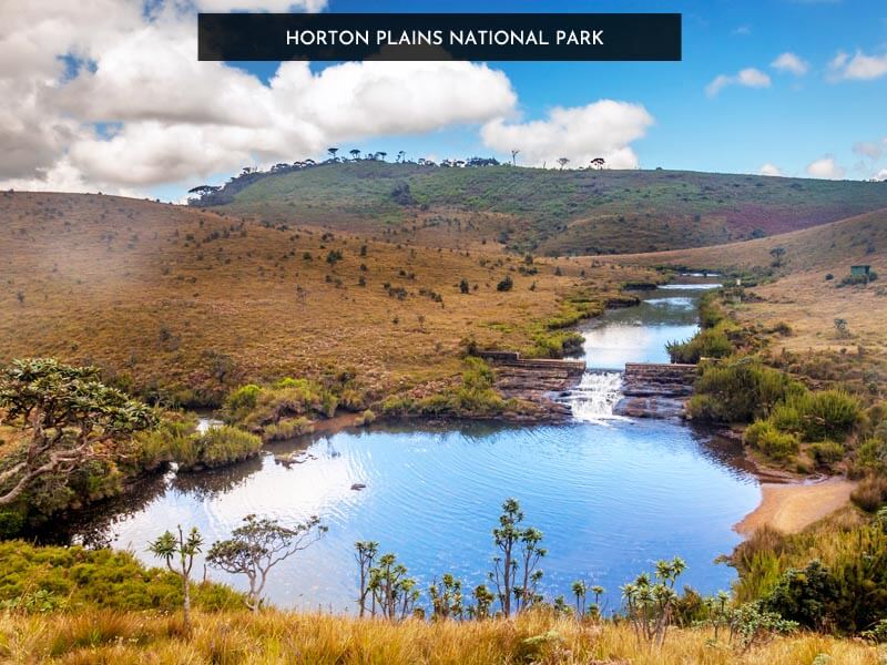 Horton Plains
