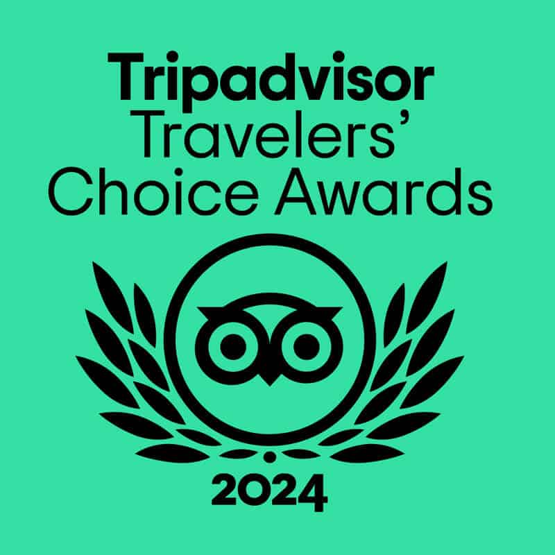 TripAdvisor 2024